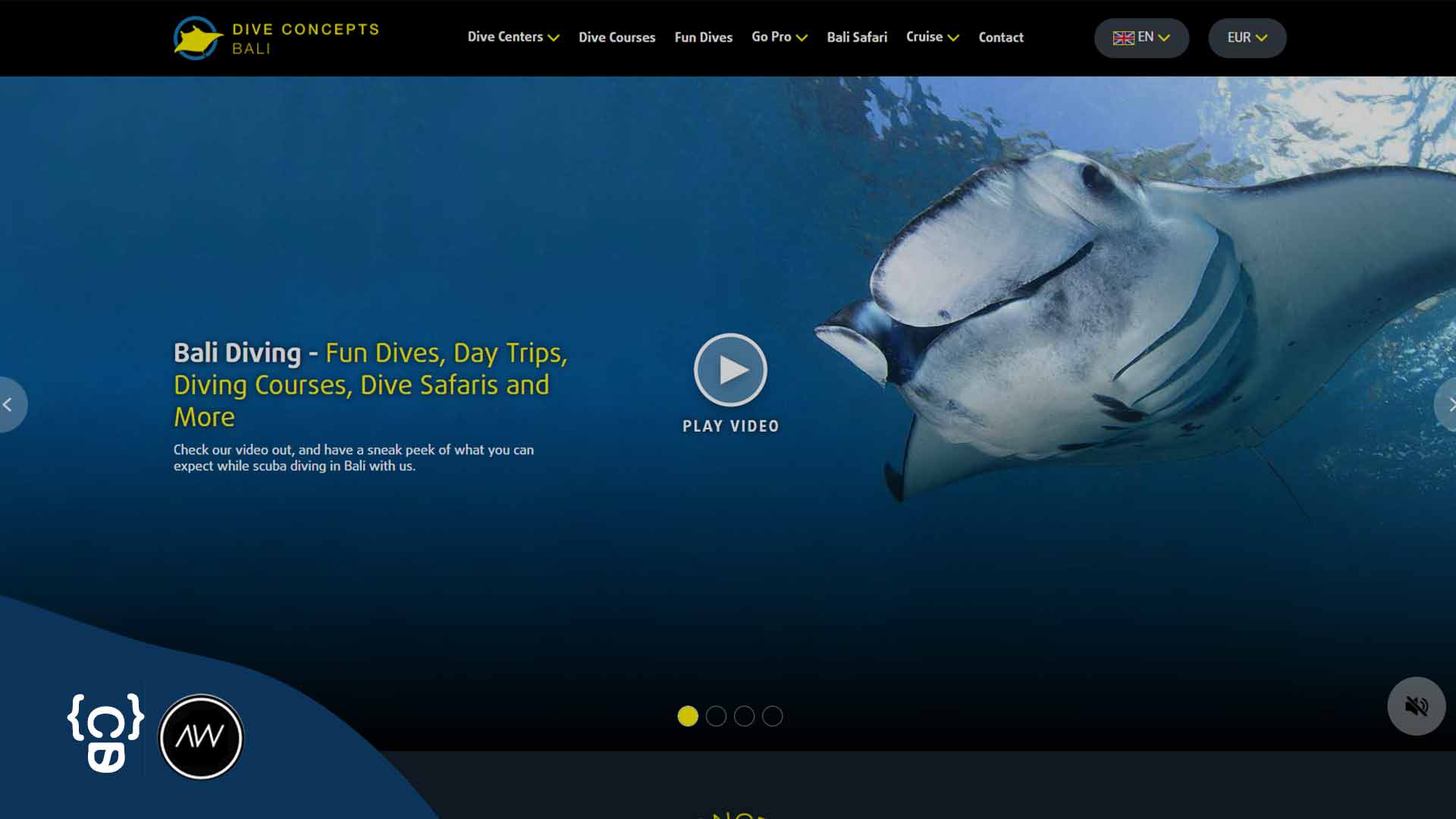 Dive Concepts Bali Website Development